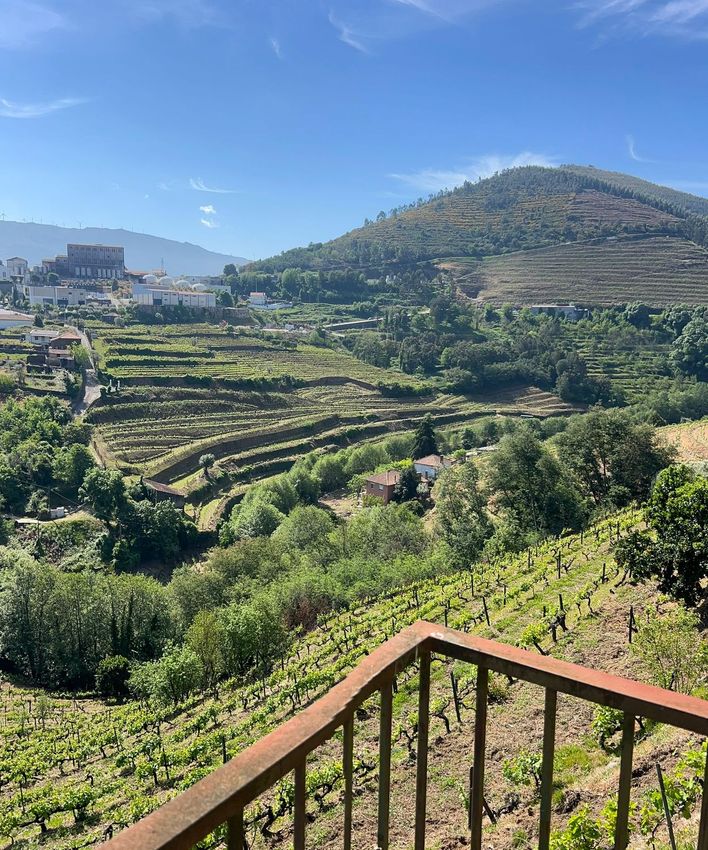 Imagem Vistas de  quinta em Calçada do Paraíso