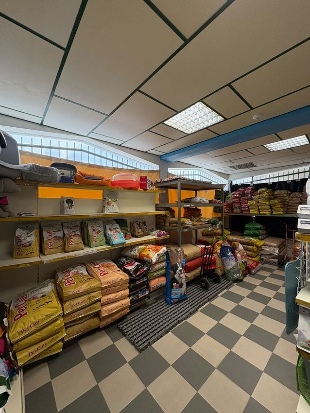 Imagem de espaço comercial em Rua João Pires Correia, 128