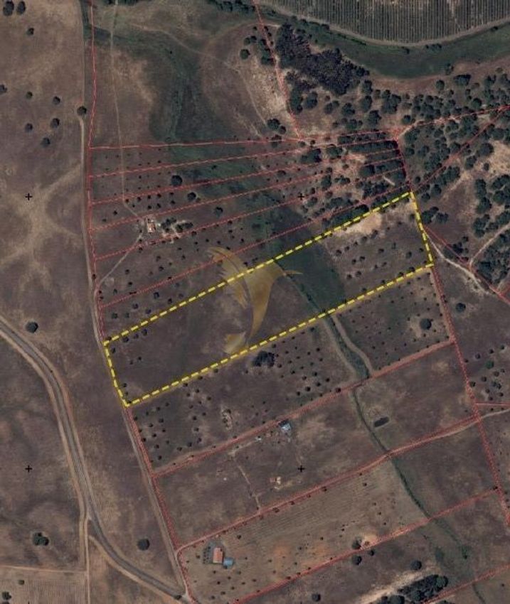 Imagem de terreno em Aldeia dos ruins s/n
