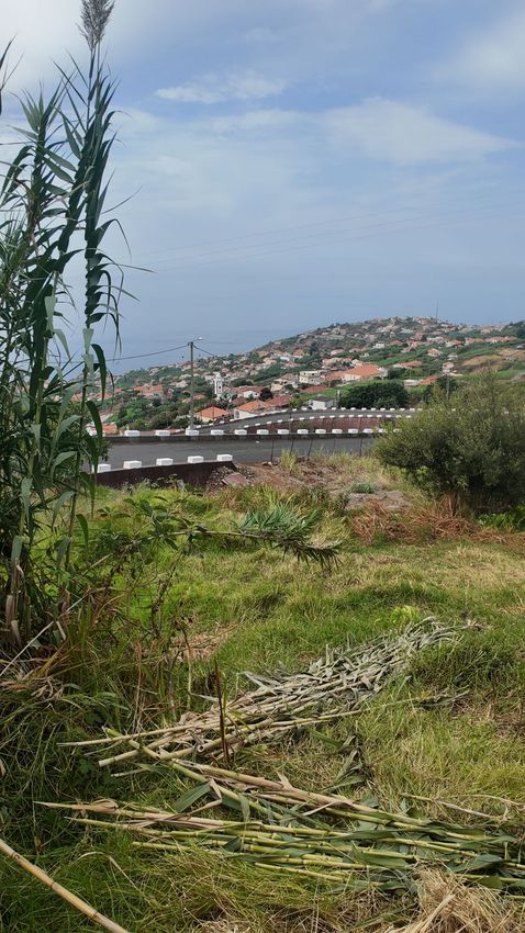 Imagem Jardim de terreno em Estrada Da Achada