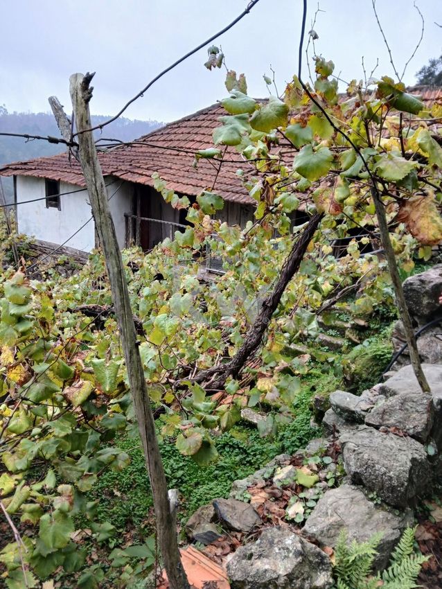 Imagem Jardim de  casa ou moradia em Rua do Outeiro s/n