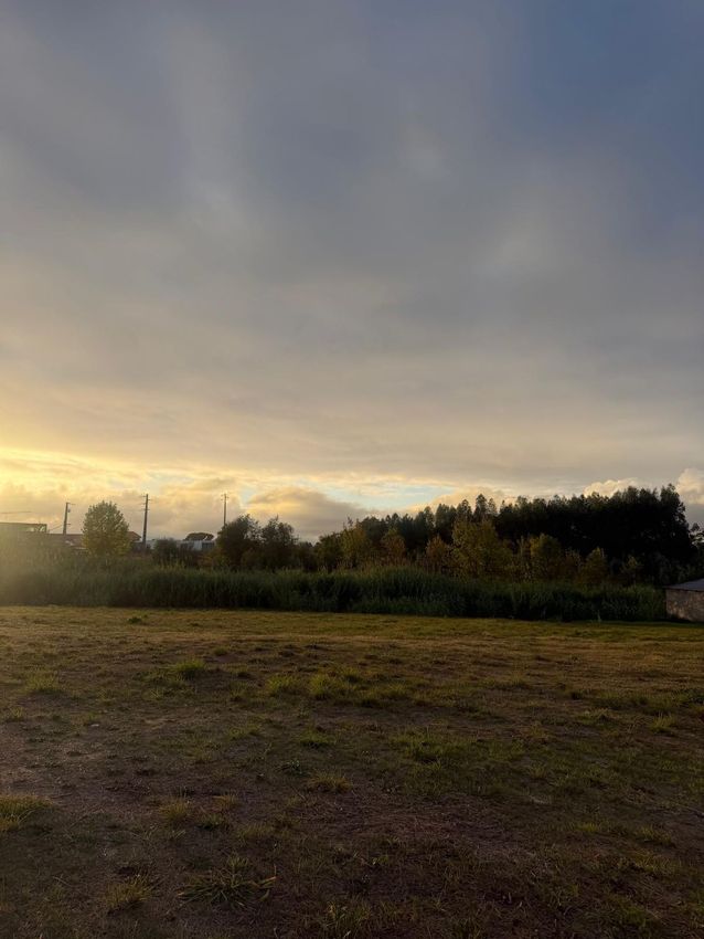 Зображення Сад, земельна ділянка, Centro б/н