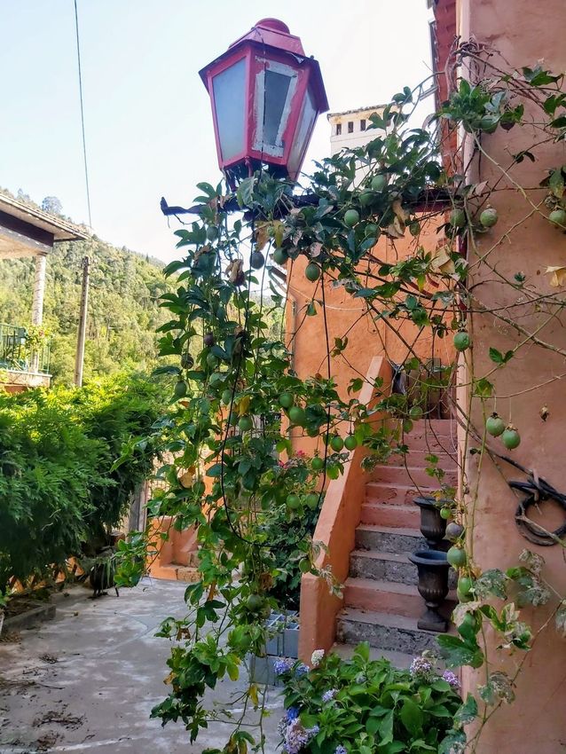 Imagem Jardim de apartamento t2 em Rua Beira, 996