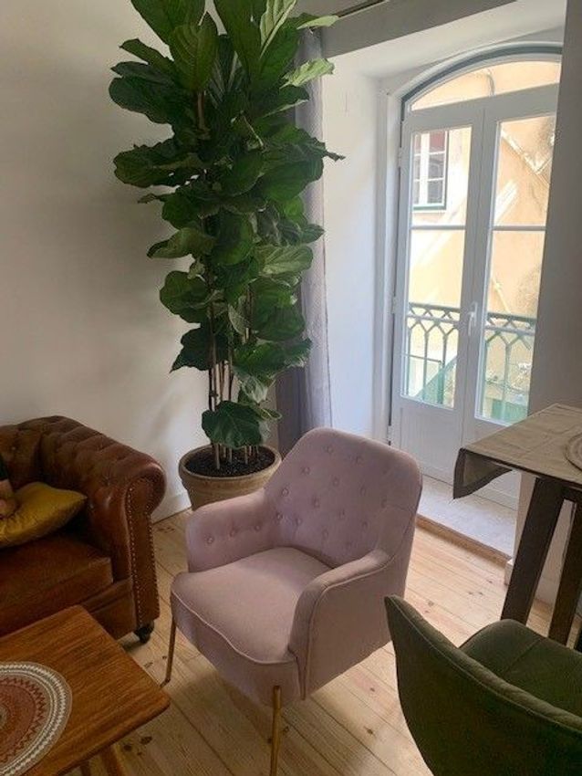 Imagem Sala de estar de apartamento t1 em Rua Pedro Dias, 9