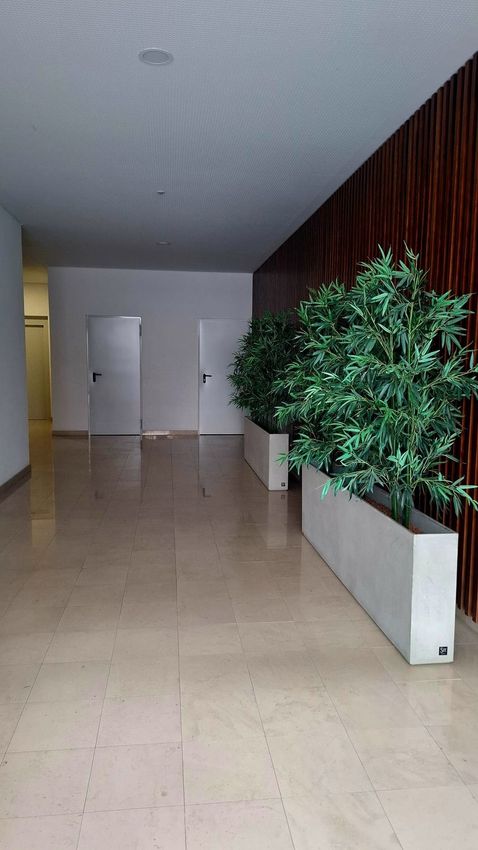 Imagem Corredor de apartamento t2 em Rua do Alto das Nogueiras, 51