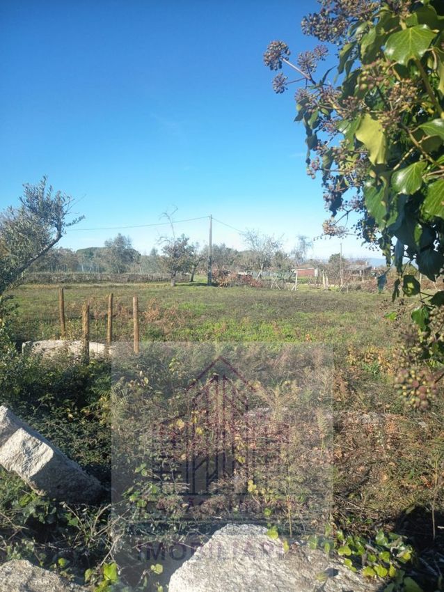 Imagem de terreno em Lagares da Beira