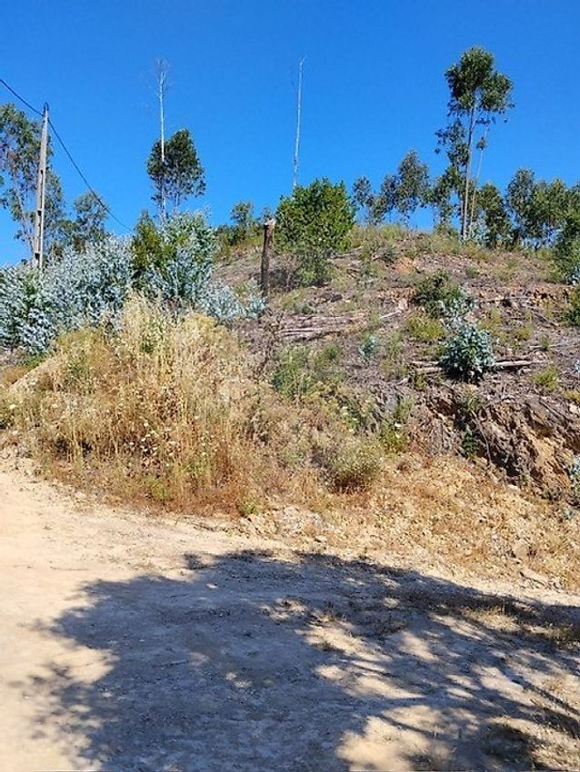 Imagem Vistas de terreno em Monchique