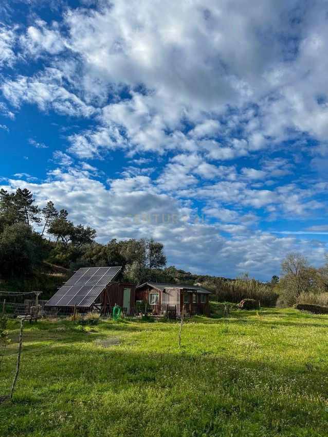 Imagem de terreno em Alvega e Concavada