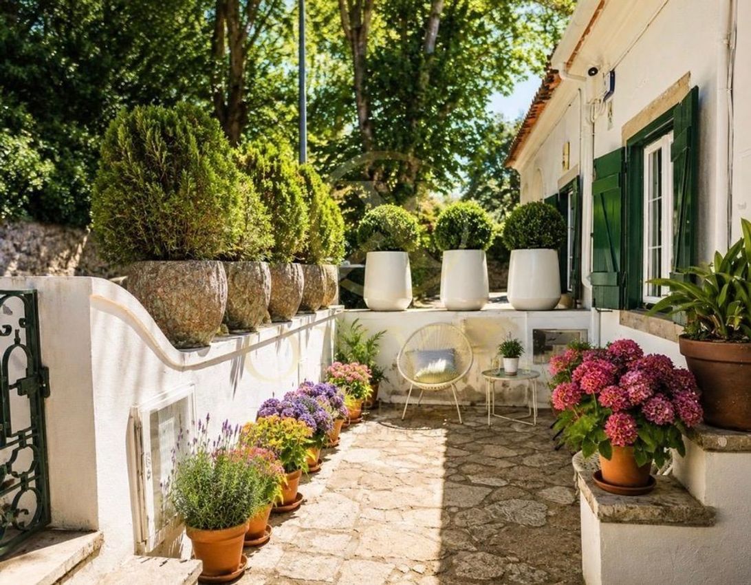 Imagem Jardim de  casa ou moradia em Rua 1º de Dezembro, 6