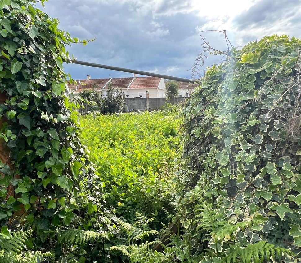 Imagem de terreno em Cooperativa dos Arquitectos - Fonte da Moura - Pedra Verde