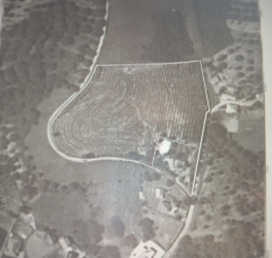 Imagem de terreno em Tuizelo