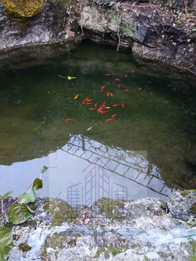 Imagem de terreno em Lagos da Beira e Lajeosa