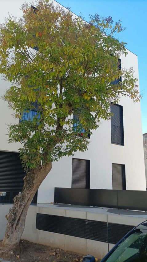 Imagem Fachada de apartamento t0 em Rua de São Sebastião, 121