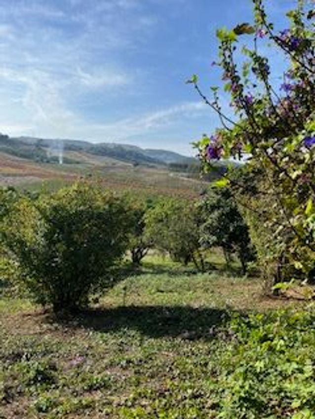 Imagem Jardim de  moradia independente em Vilar