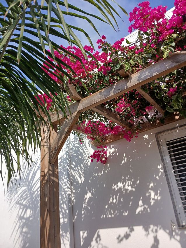 Imagem Jardim de  moradia geminada em Rua João Augusto Saias, 24