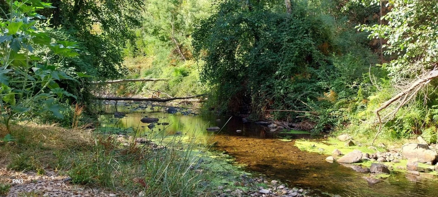 Imagem de terreno em Alferce
